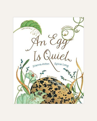 AN EGG IS QUIET - chronicle - BØRN BABY