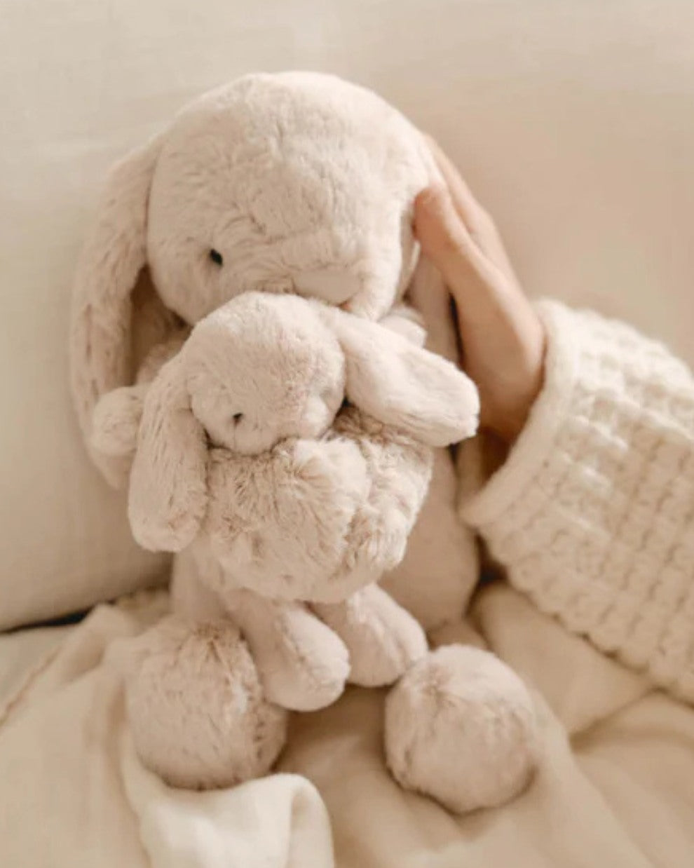 SNUGGLE BUNNIES - FRANKIE THE BUNNY | bornbaby