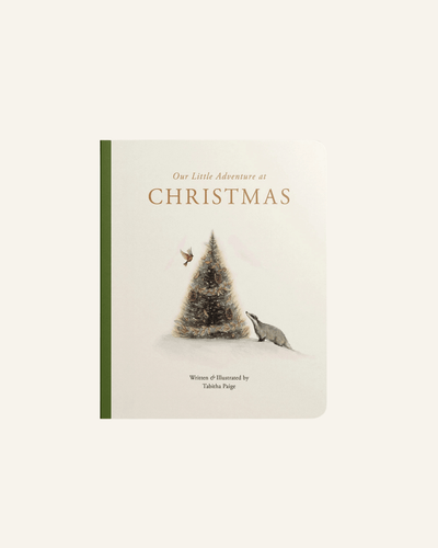 OUR LITTLE ADVENTURES AT CHRISTMAS (BABY'S FIRST CHRISTMAS) - penguin random house - bornbaby
